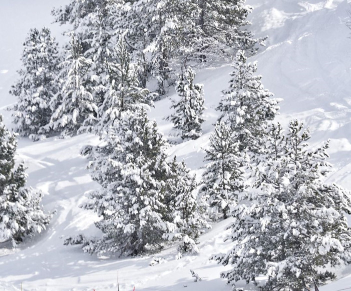 PANTONE 2023: VIVA MAGENTA Y 10 COLORES MÁS QUE SERÁN TENDENCIA EN LA DECORACIÓN